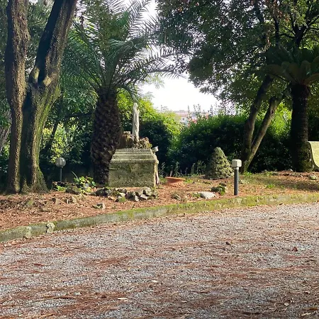 Pastore Salerno *